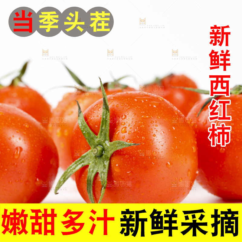 白底上的西红柿
