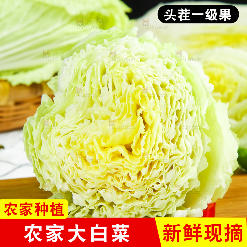 木底上放着大白菜