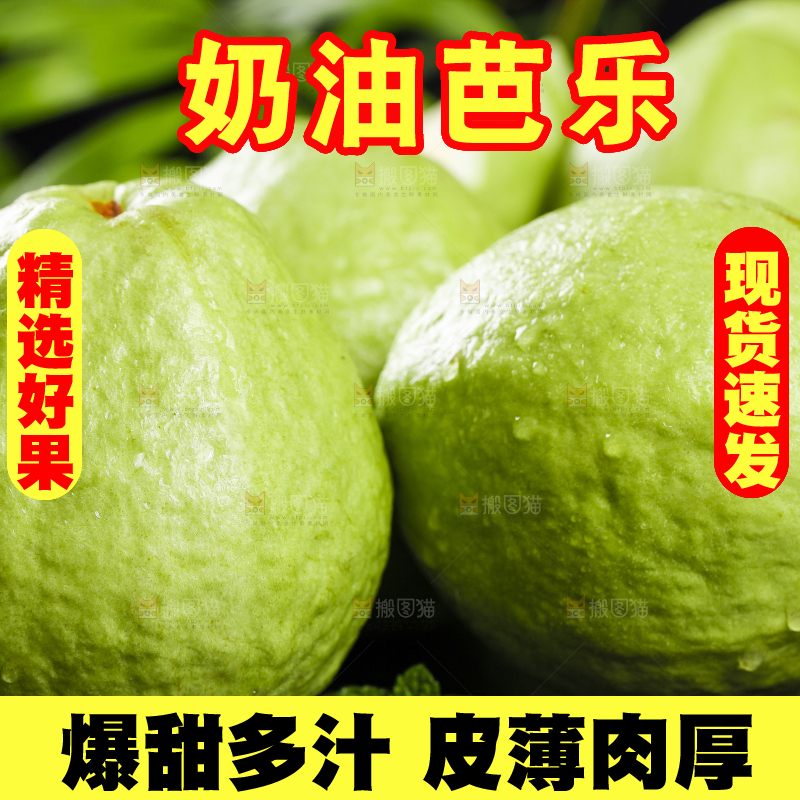 一堆新鲜的广西白心芭乐