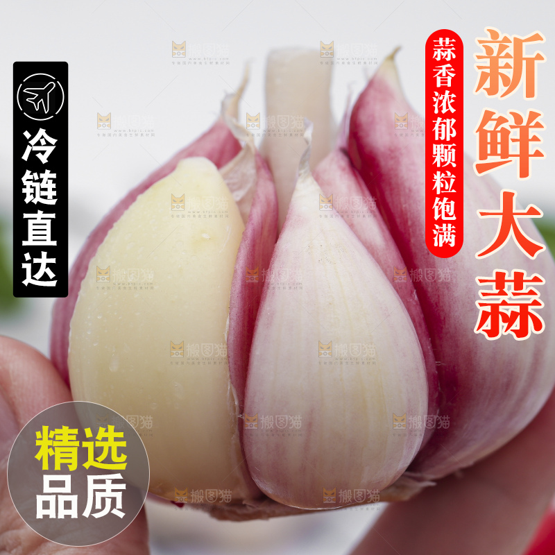 手拿新鲜紫皮大蒜头