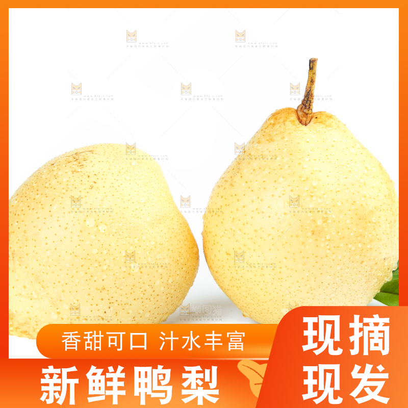 白底上摆放着鸭嘴梨