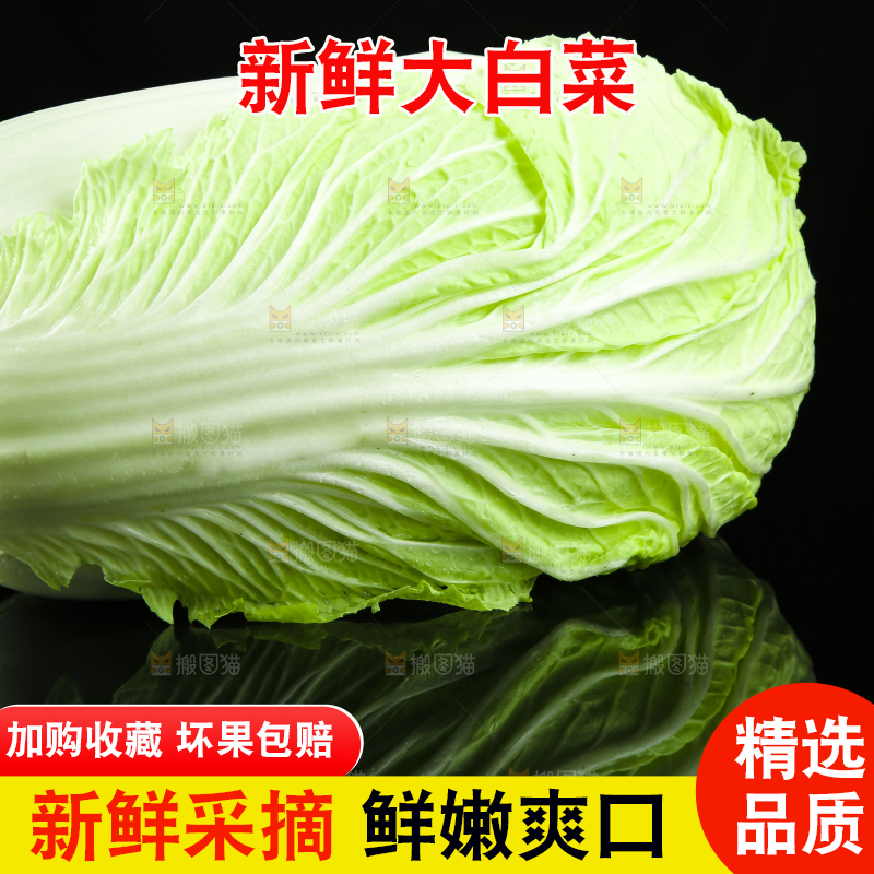 黑底上放着大白菜