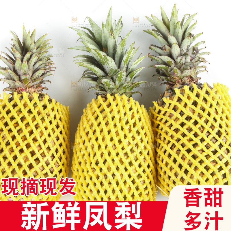 白底上的新鲜凤梨