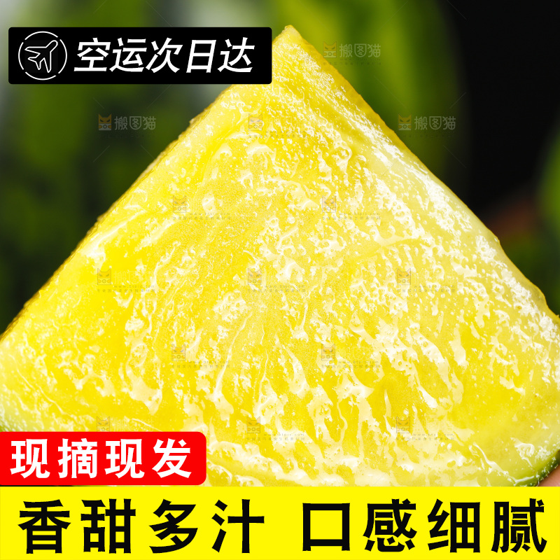 手拿切开的特小风黄心西瓜