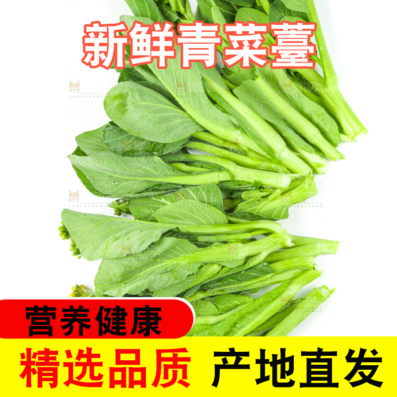 白底上的菜薹