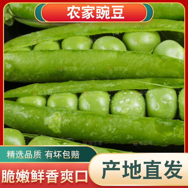 黑底上堆放着豌豆角
