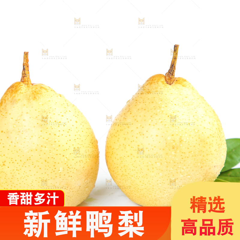 白底上摆放着鸭嘴梨