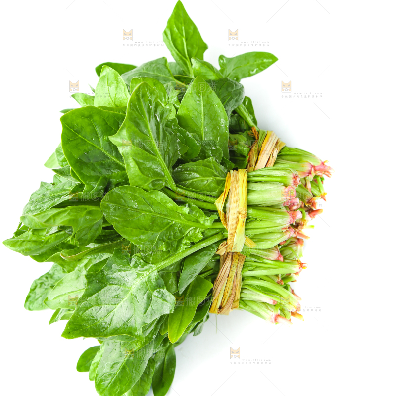白底上放着新鲜菠菜
