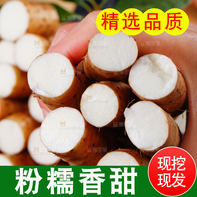 手里拿着新鲜山药