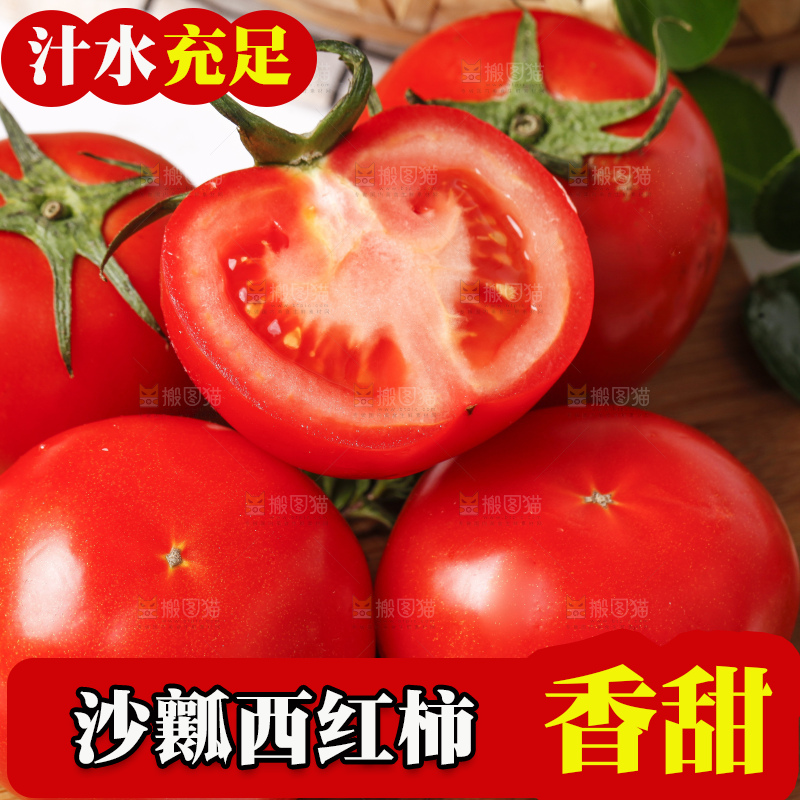 木底上放着山东新鲜西红柿