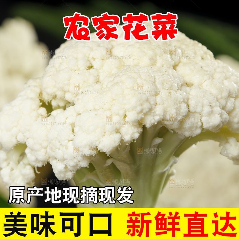 黑底上放着高山散花菜