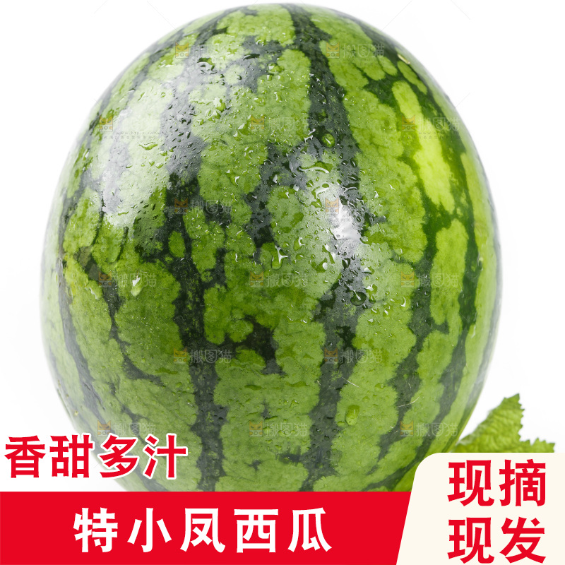 白底上放着新鲜的黃瓤西瓜