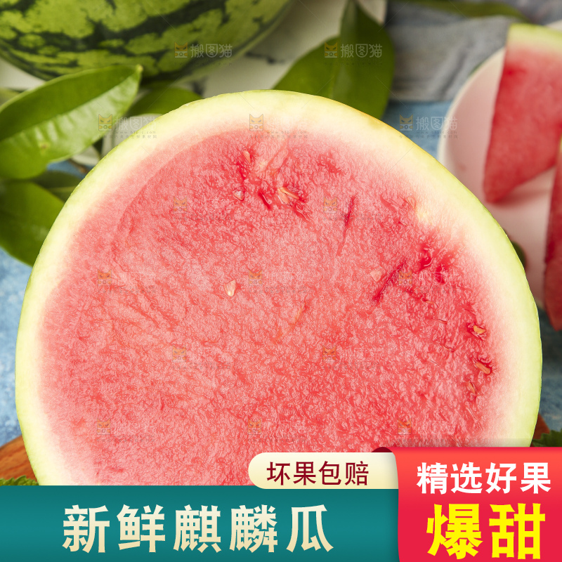 蓝底上放着新鲜麒麟西瓜