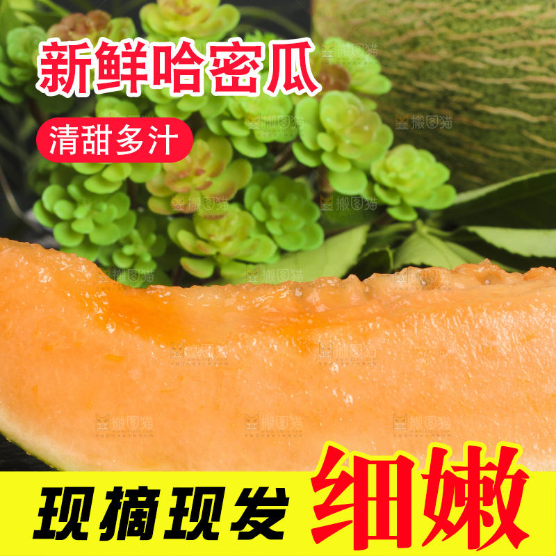 黑底上放着切开的西州蜜25号