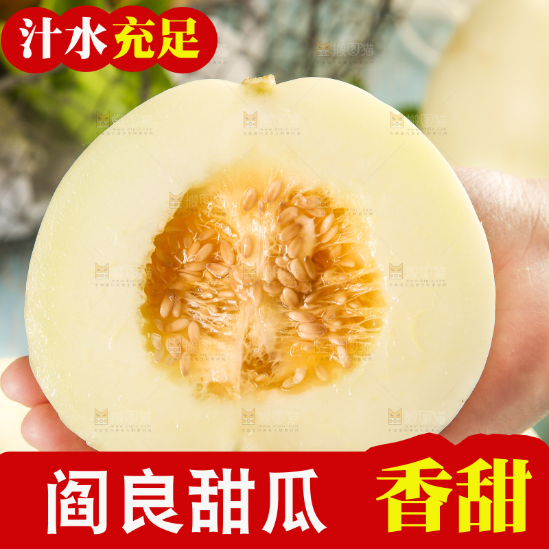 手里捧着切开的陕西阎良甜瓜