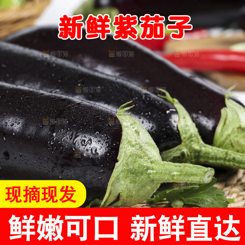 格子底上的新鲜长茄子