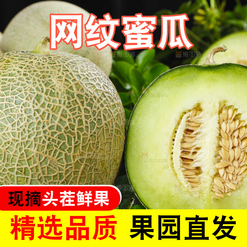 深底上放着切开的新鲜的网纹蜜瓜