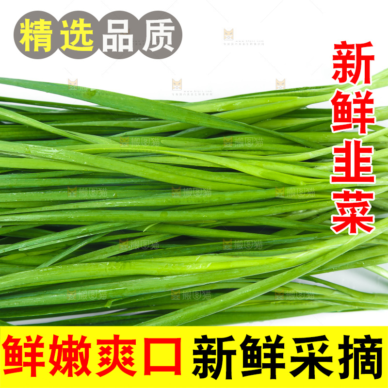 白底上放着新鲜韭菜
