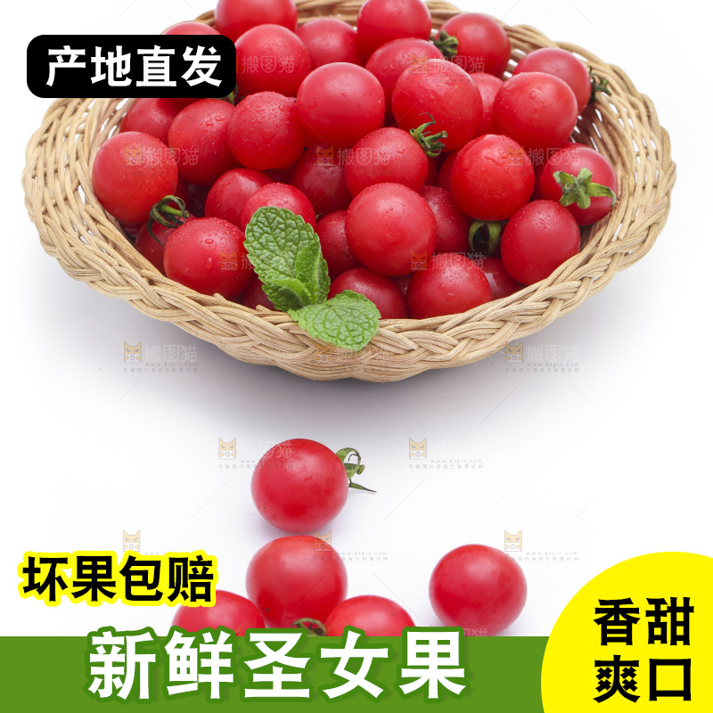白底上放着一筐新鲜小番茄