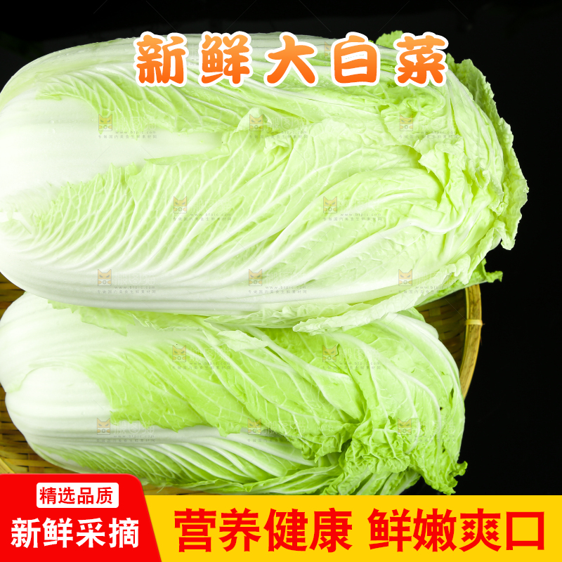 黑底上的黄心大白菜