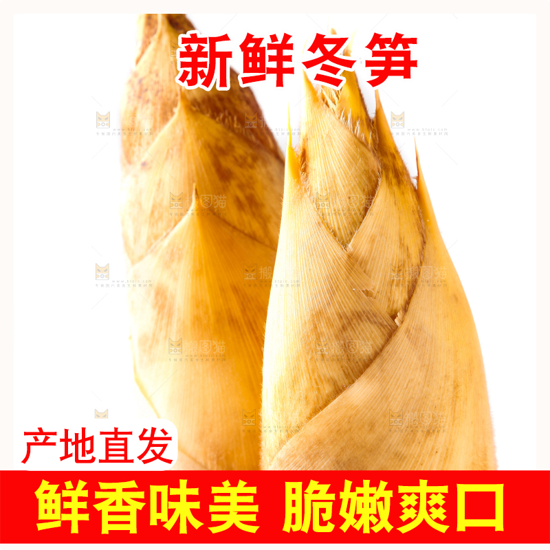 白底上摆放着冬笋