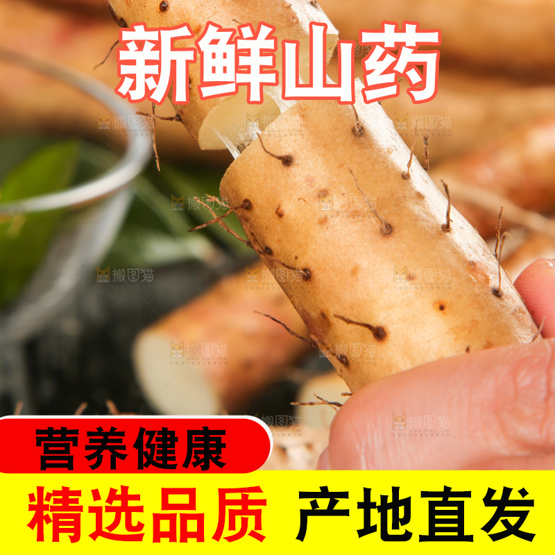 手里拿着白山药