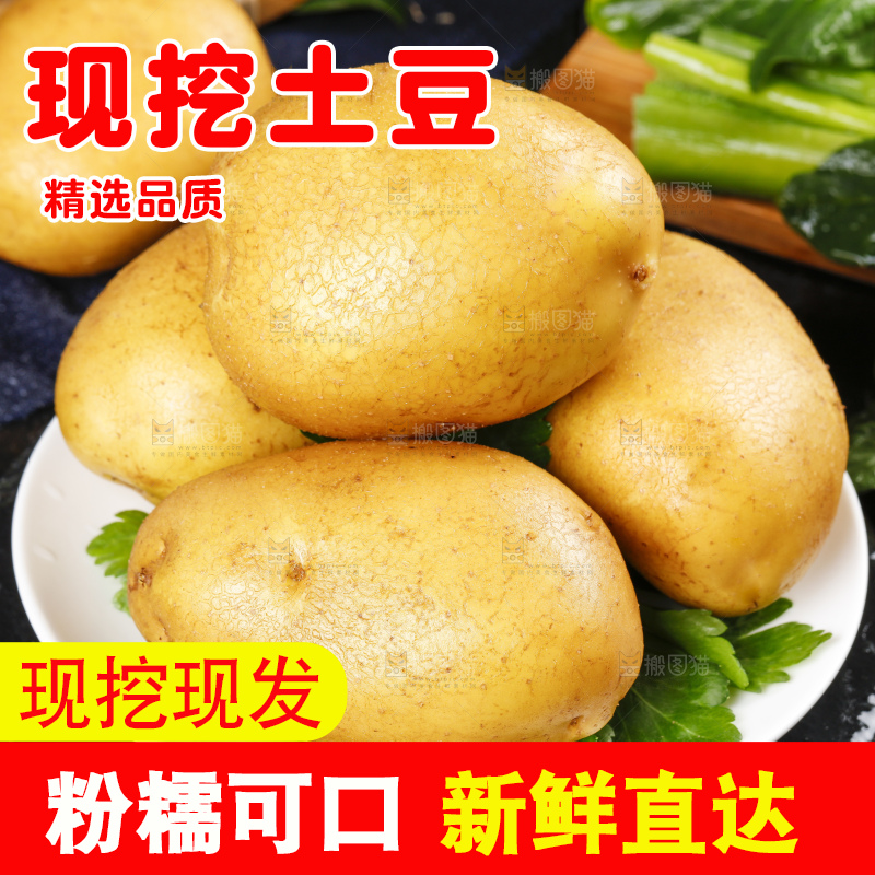 大土豆主图