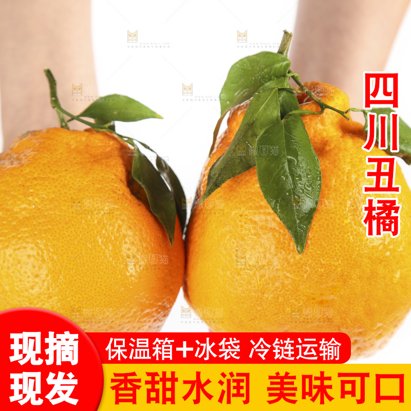 手拿新鲜丑橘