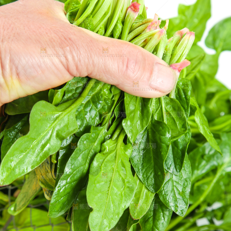 手里拿着一把菠菜