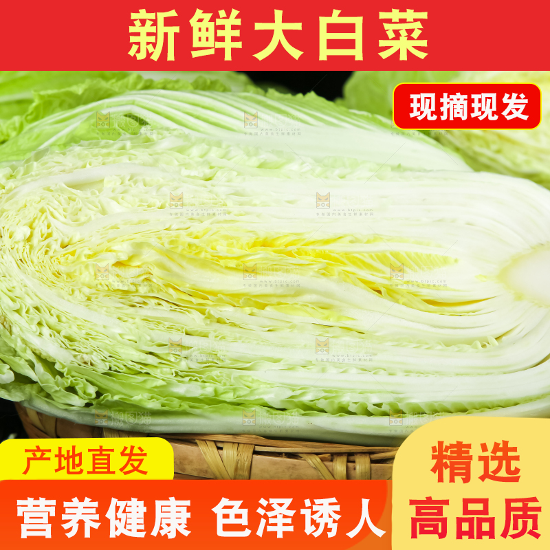 黑底上放着大白菜