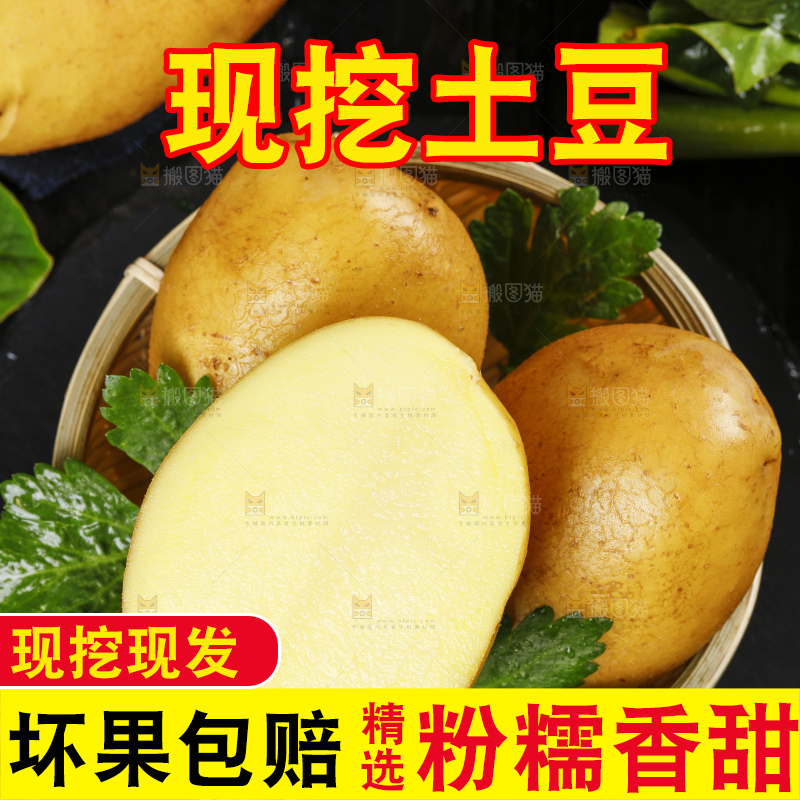 篮子里放着土豆