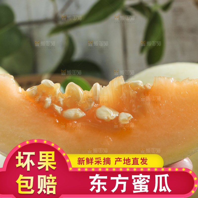 手拿一块东方蜜瓜