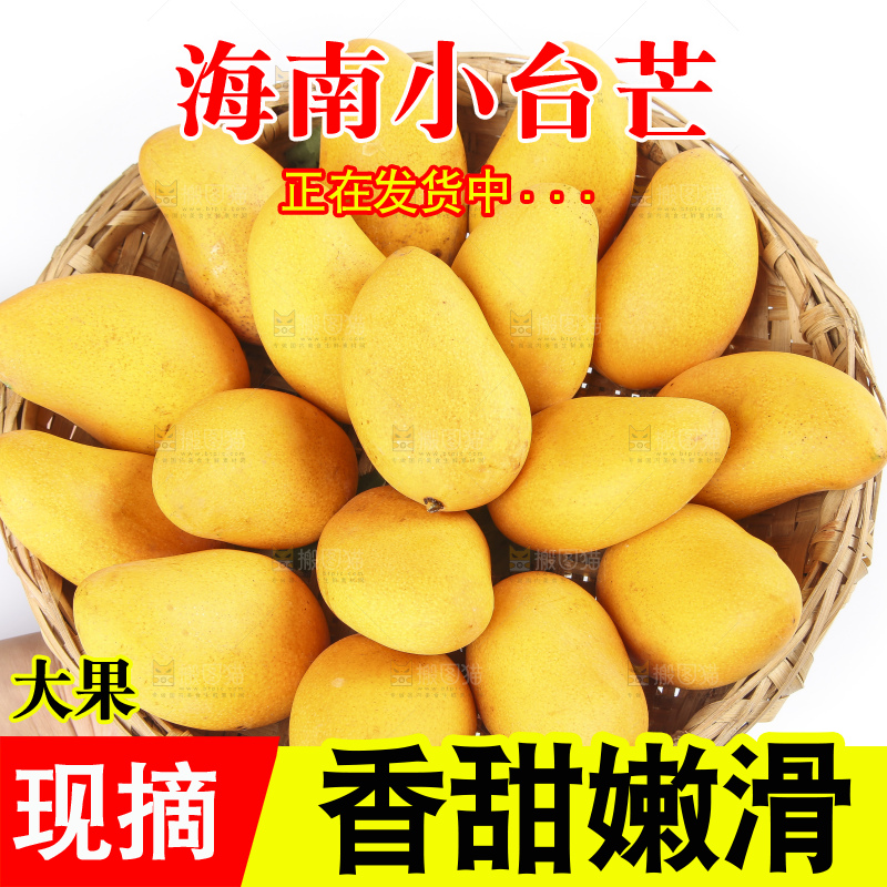 手拿一筐小台芒