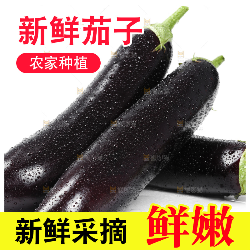 白底上的紫茄子