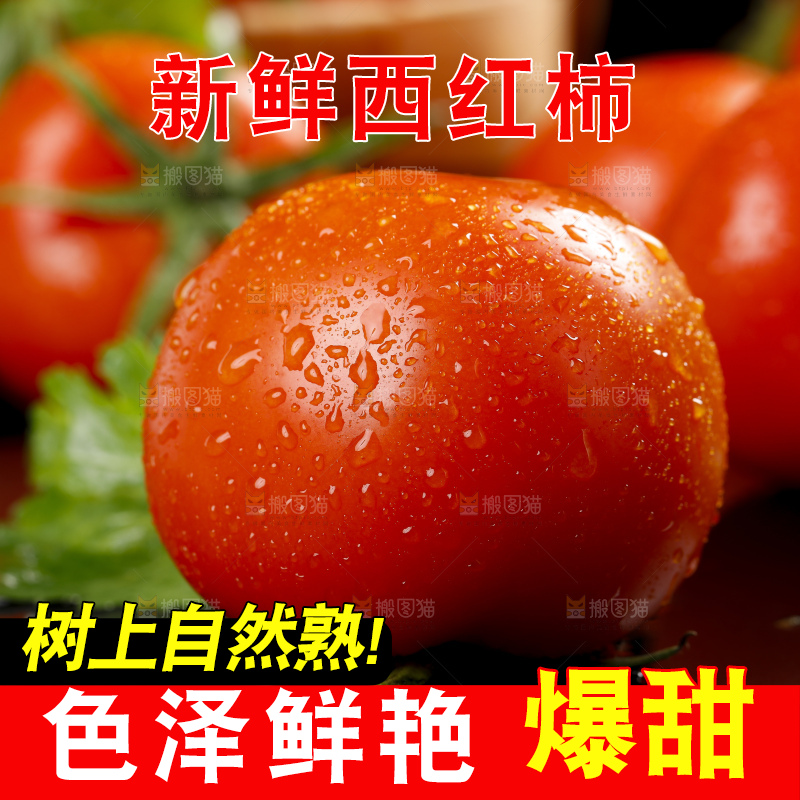 深底上摆放着番茄