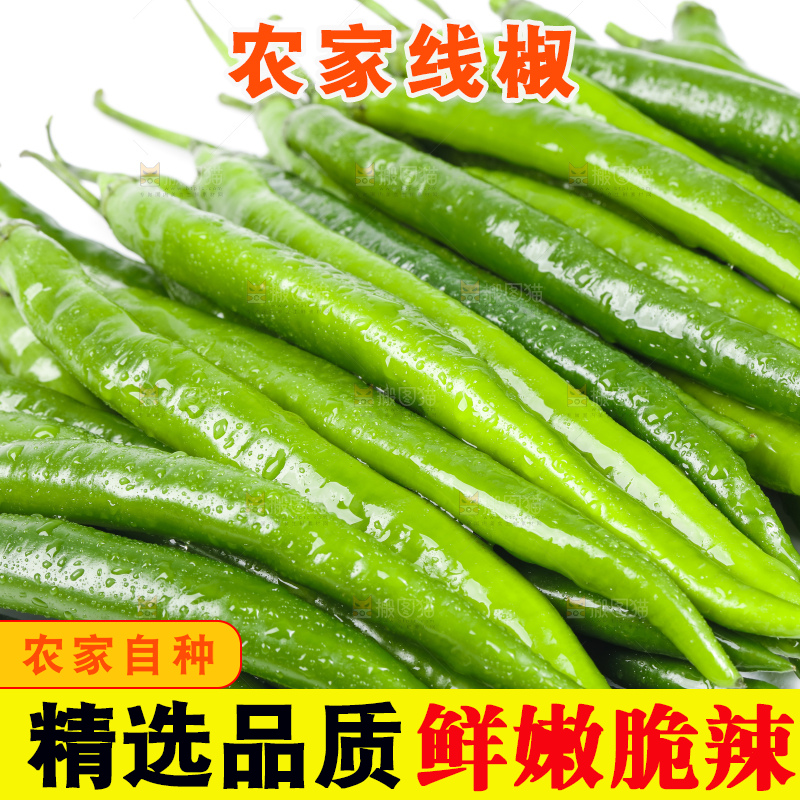 白底上放着线椒