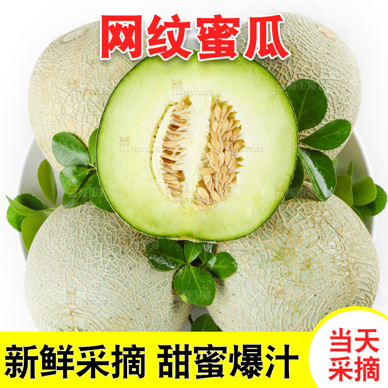 白底上放着新鲜网纹瓜