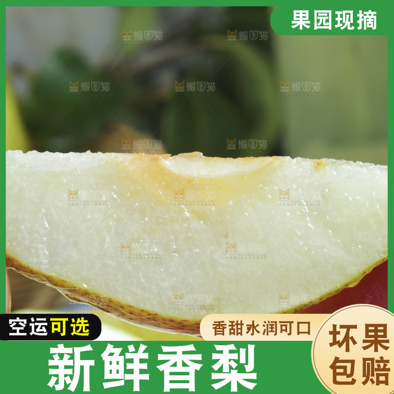 手拿切开的库尔勒香梨