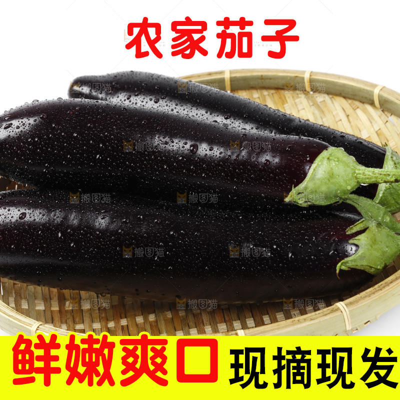 篮子里装着紫茄子
