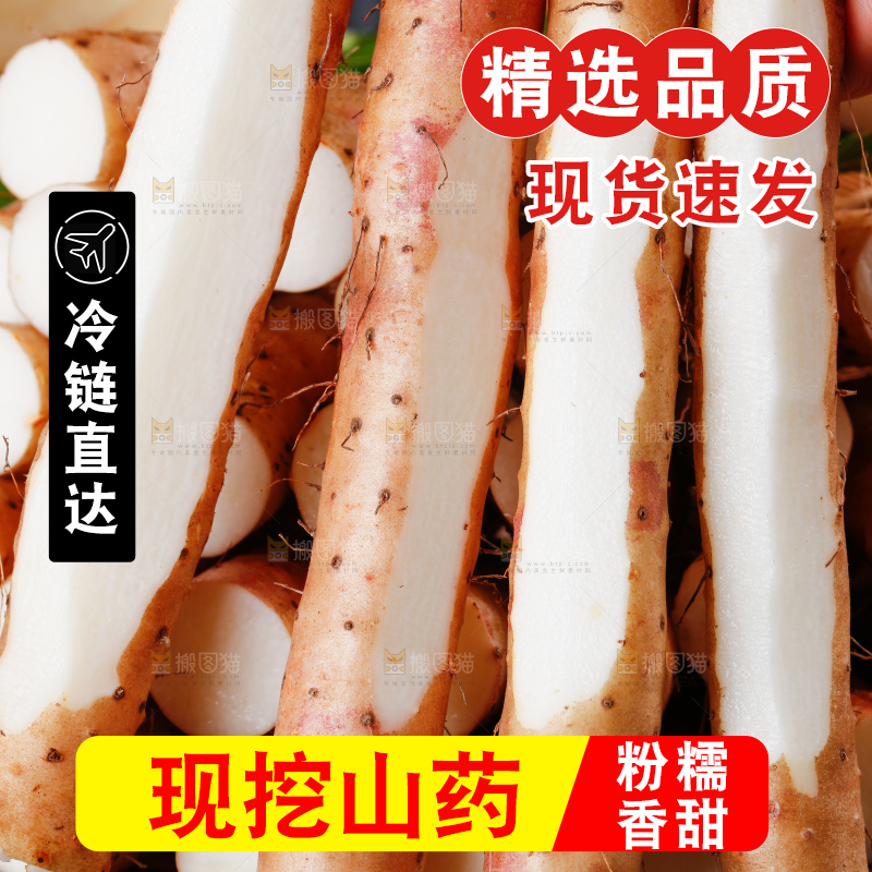 手里拿着新鲜山药