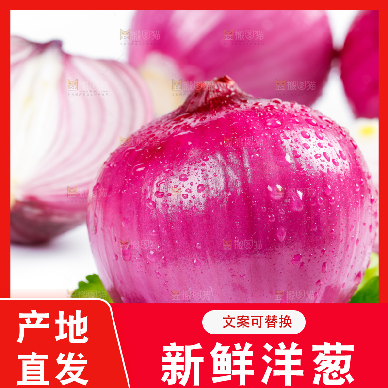 白底上摆放着新鲜洋葱