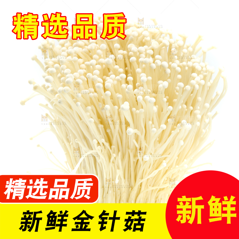 白底上的金针菇