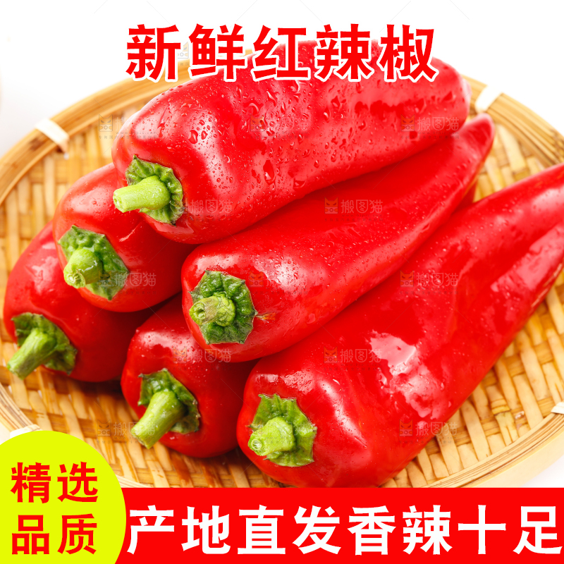 白底上的红菜椒