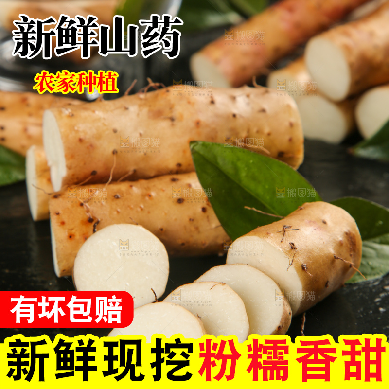 深底上的小白嘴山药