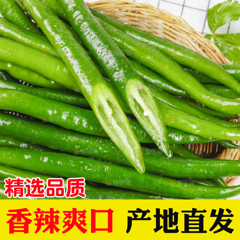 篮子里堆放着青线椒