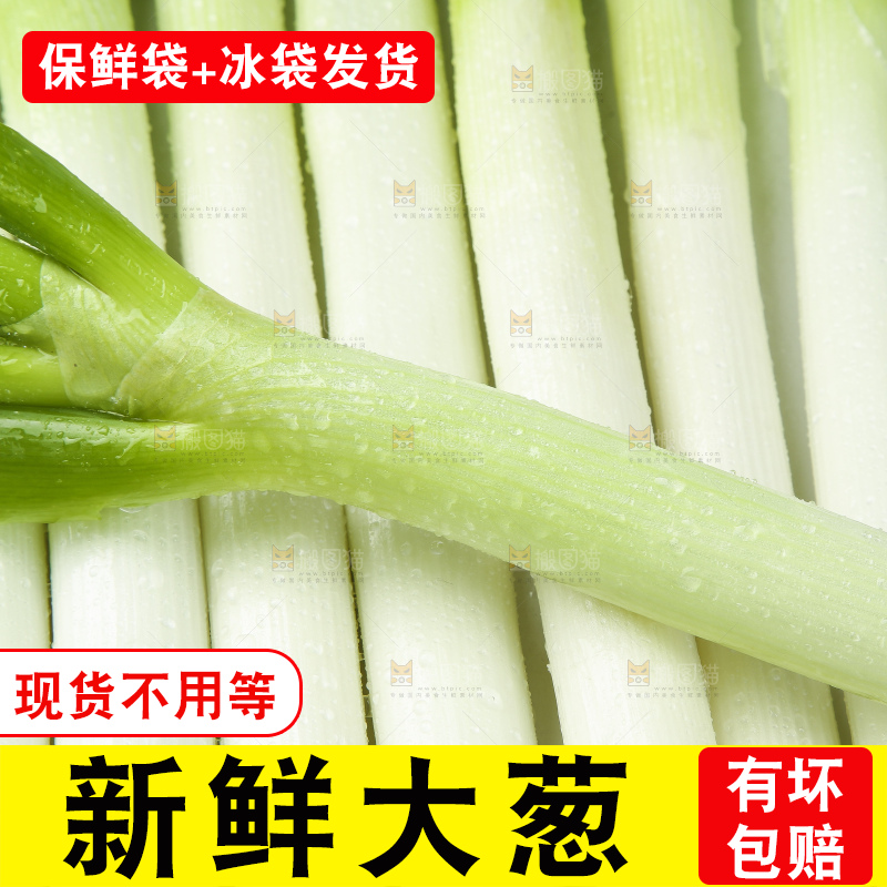 白底上放着大葱