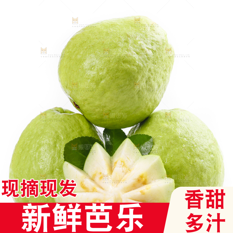 白底上放着白心番石榴