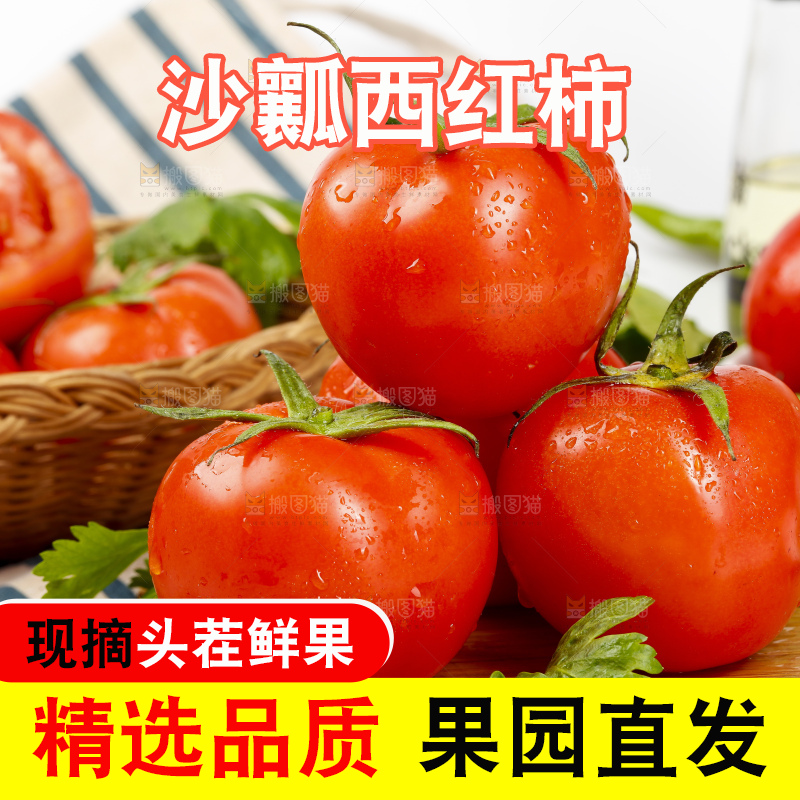 木底上堆放的西红柿