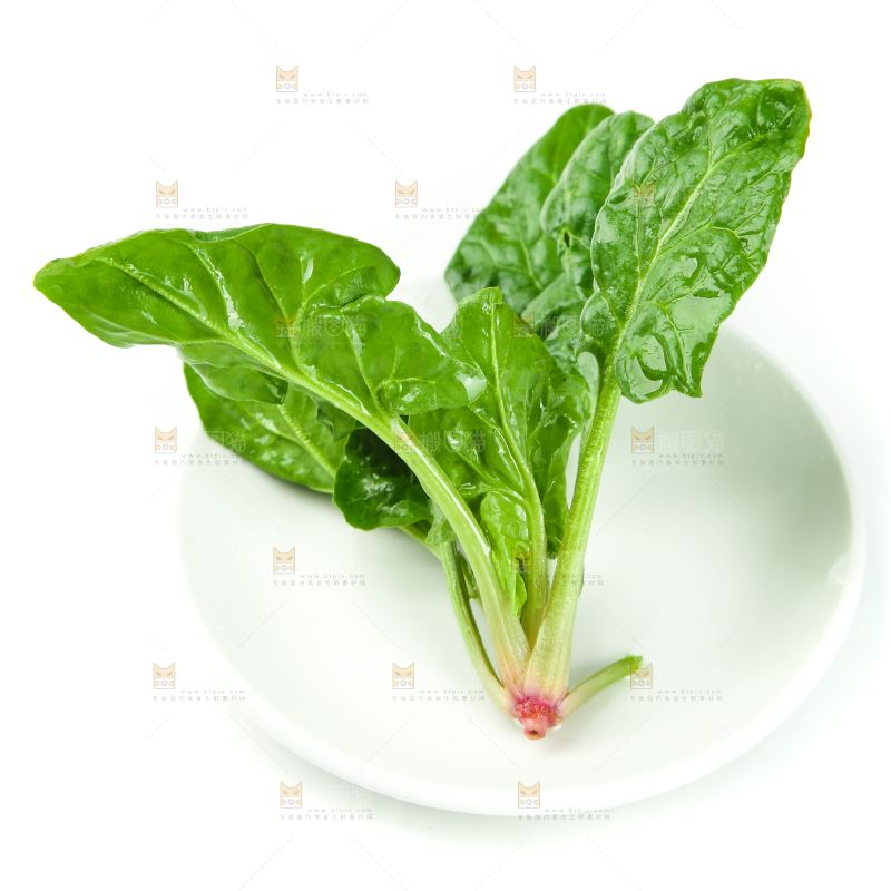 白底上放着新鲜菠菜