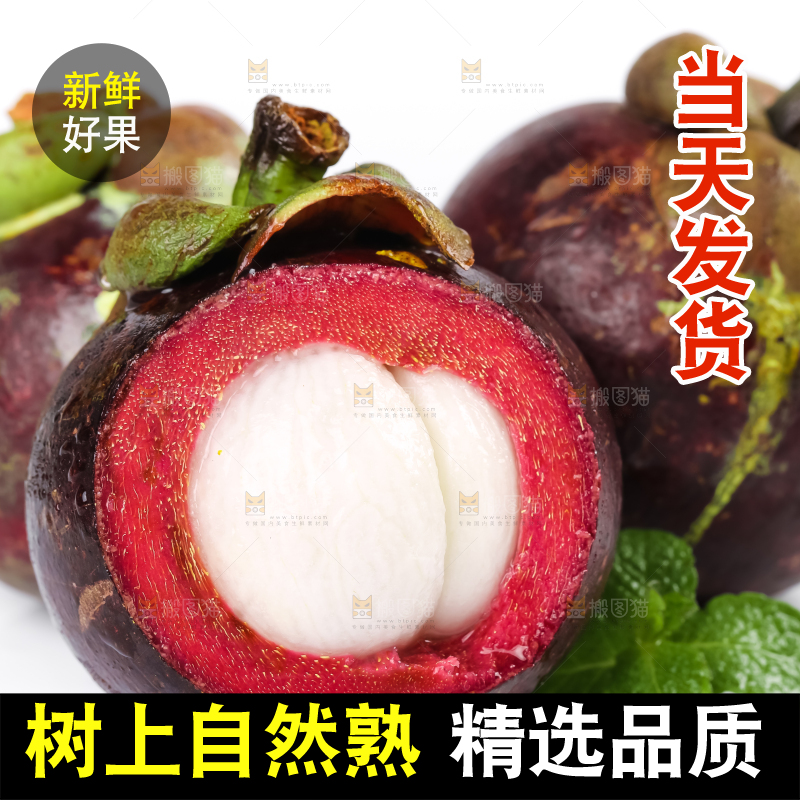 新鲜的泰国进口山竹放在白底上